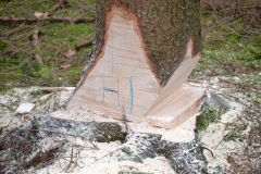 W1 u. Hachenburg 024